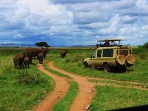 Est-il sécuritaire de faire un safari en Tanzanie