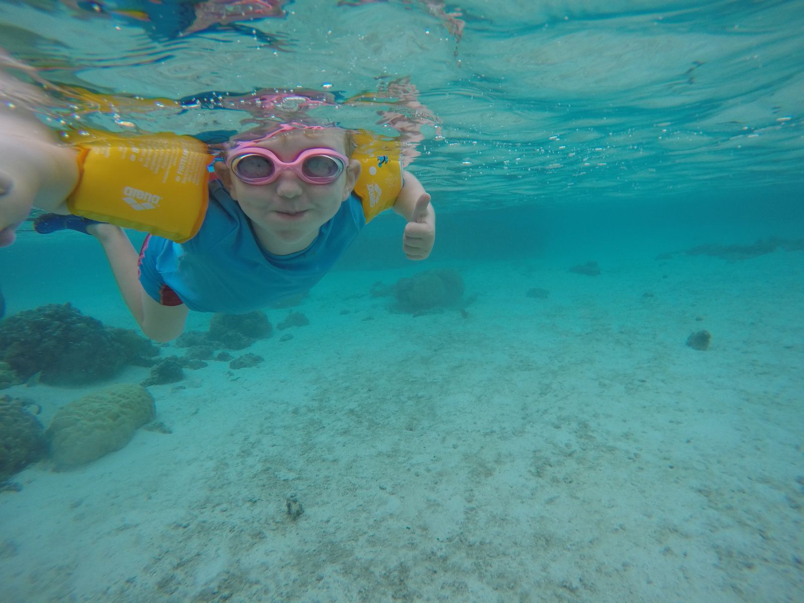 La meilleure plongée sous-marine en Polynésie françaisee