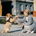 Détenir un chien quand on habite en ville