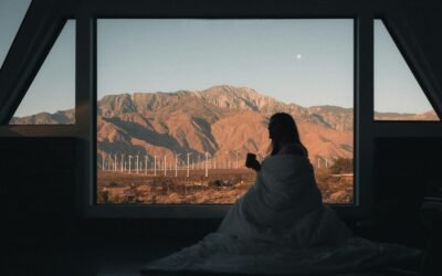 black labrador retriever sitting on rock