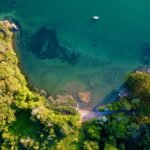 an aerial view of a lake surrounded by trees