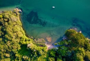 an aerial view of a lake surrounded by trees